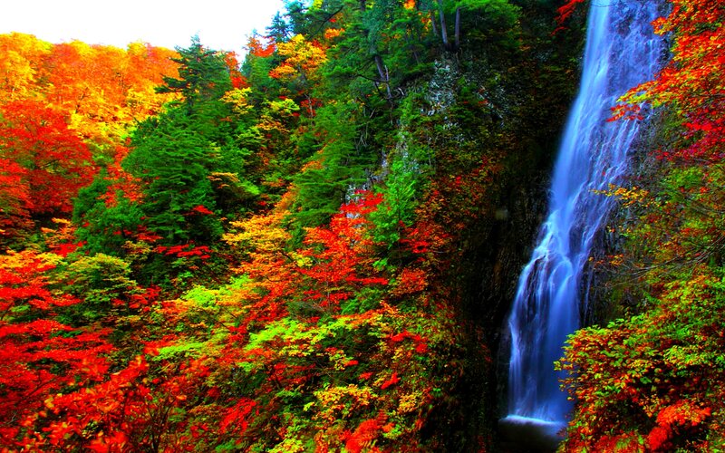 Autumn Forest Waterfall — Red, Vibrant