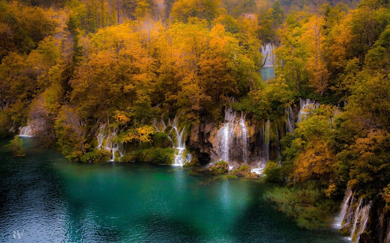 Autumn Forest Waterfalls