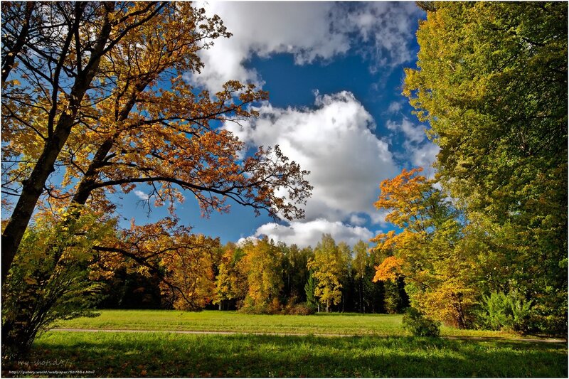 Autumn forest with blue sky