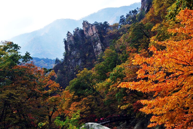 Autumn Forest with Bridge — Orange, Serene, Photograph, Mountain