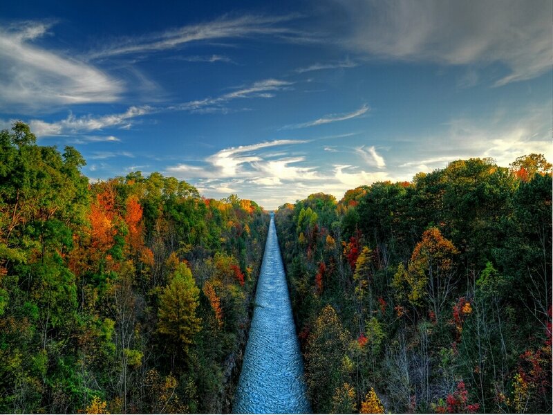 Autumn forest with canal