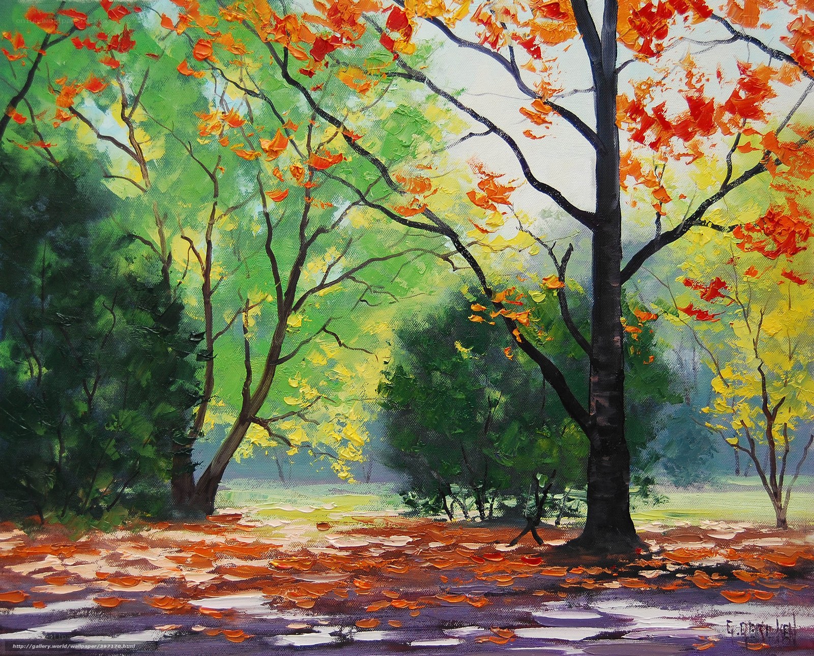 Autumn forest with colorful leaves