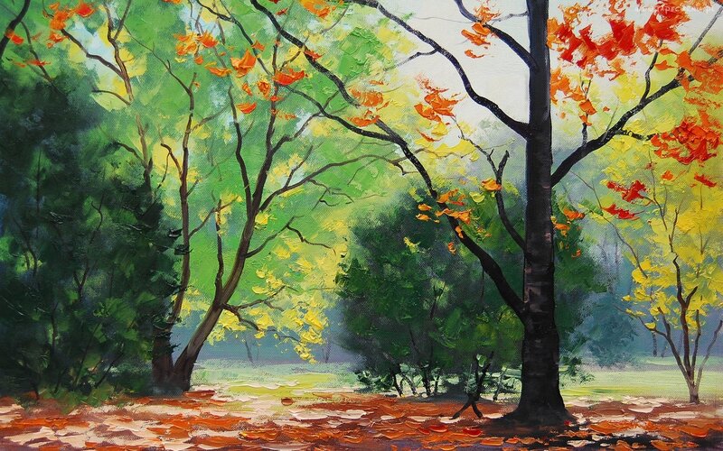 Autumn forest with colorful leaves