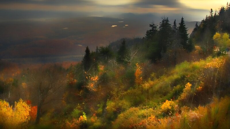 Autumn forest with distant mountains