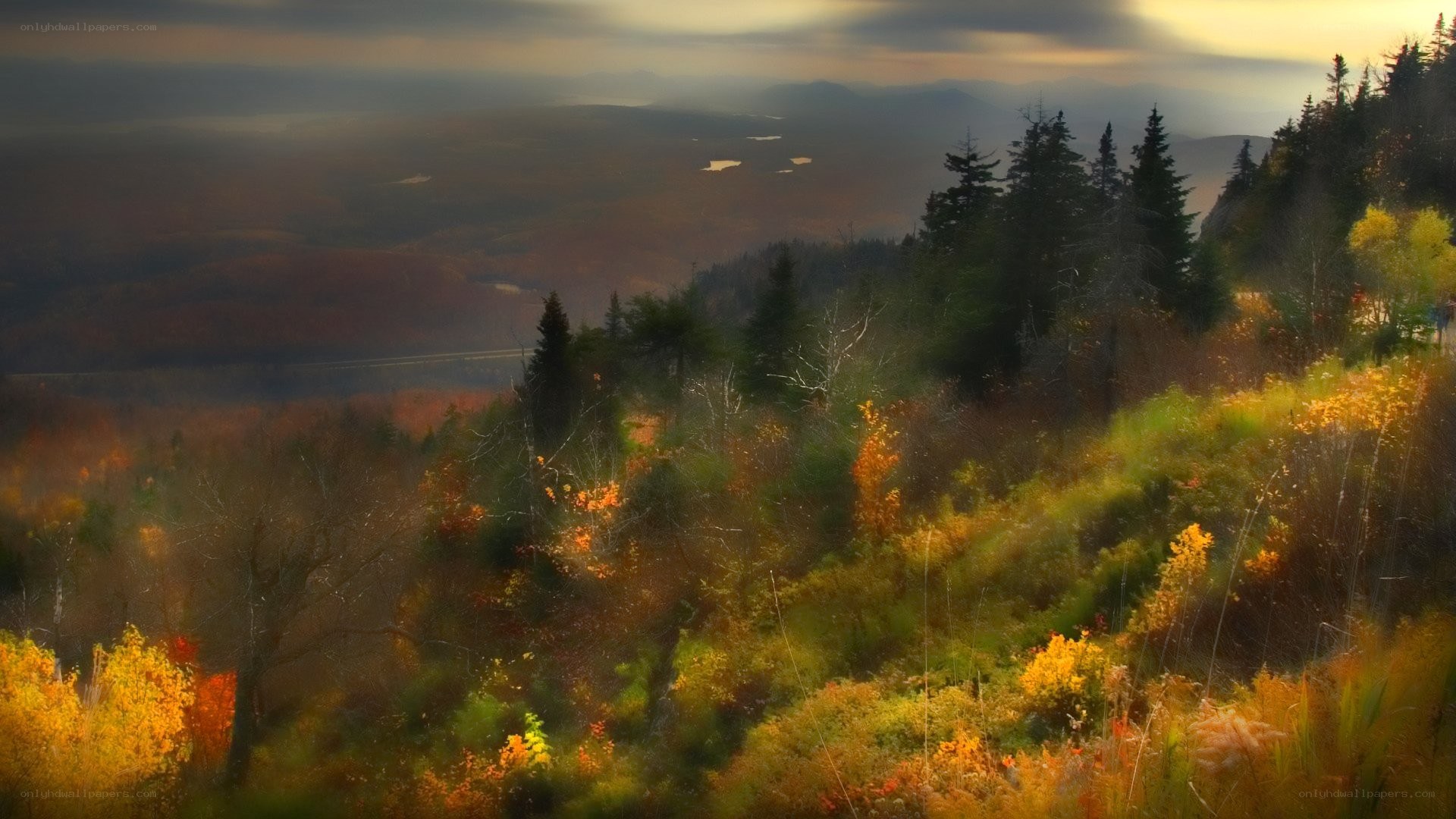 Autumn forest with distant mountains