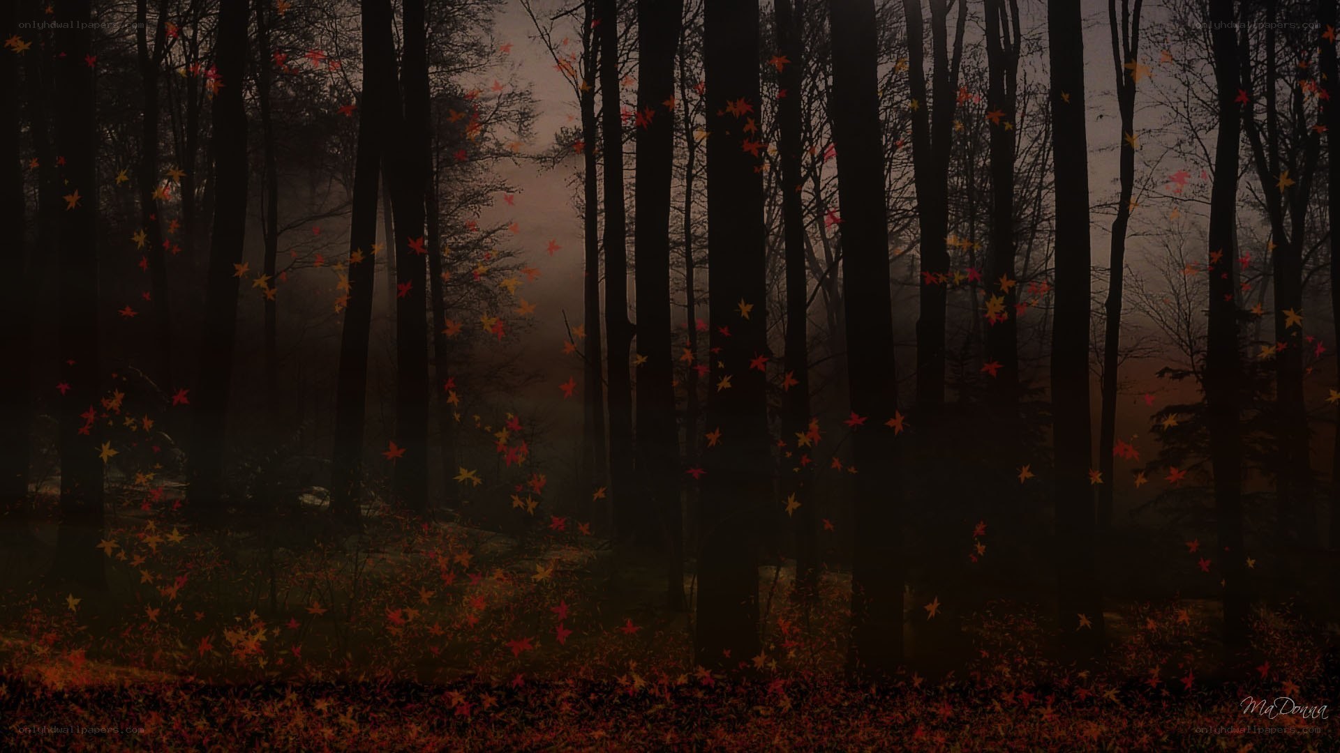 Autumn forest with falling leaves
