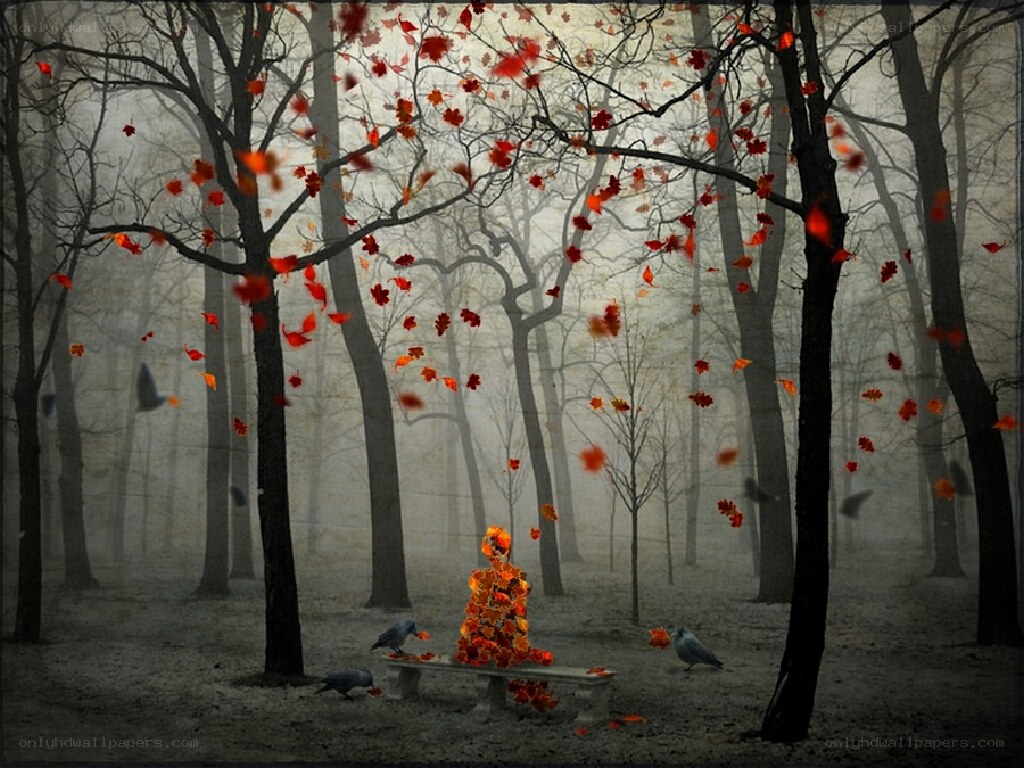 Autumn forest with falling leaves