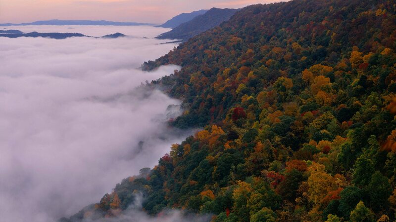 Autumn forest with foggy valley