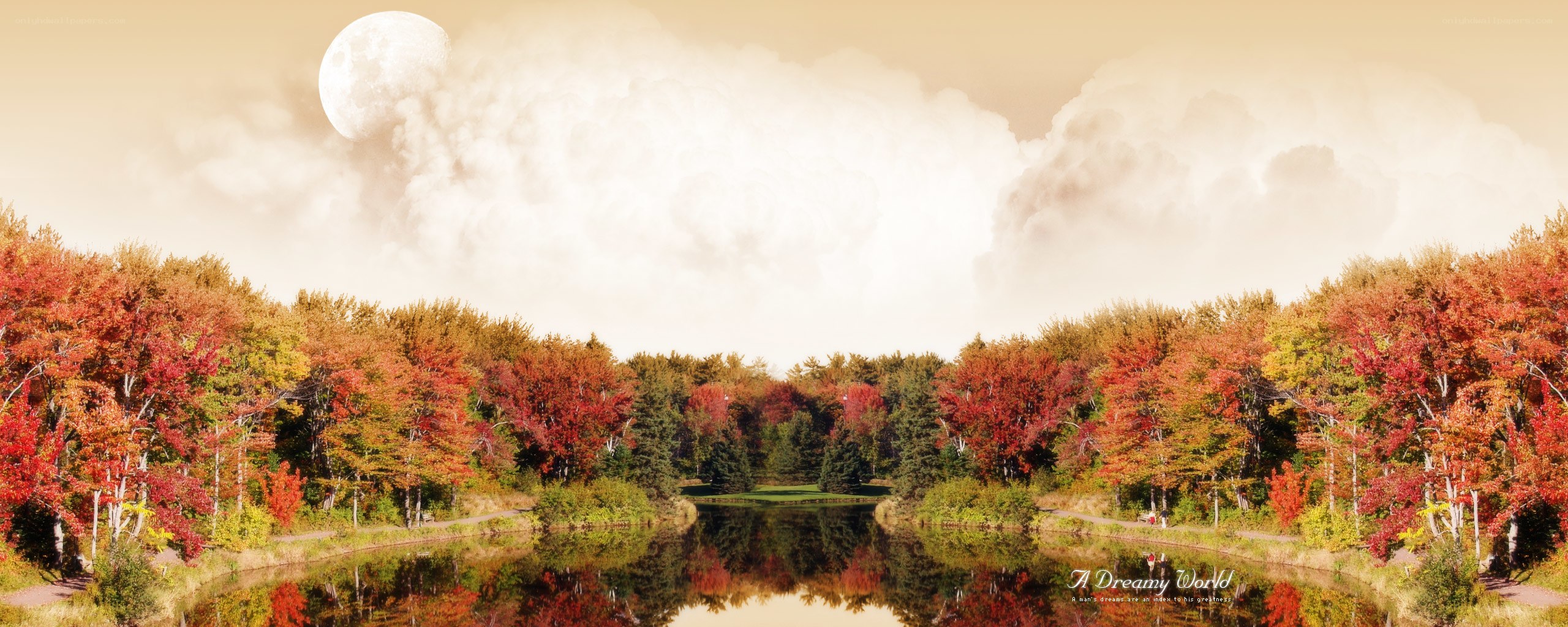 Autumn forest with full moon
