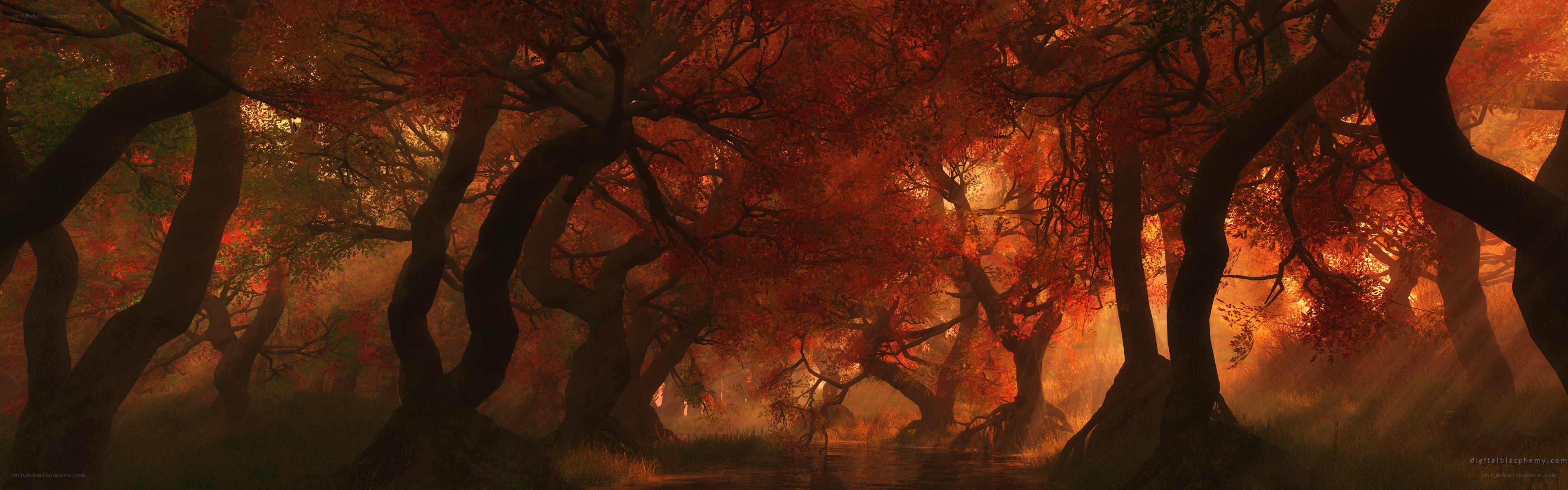 Autumn forest with glowing trees