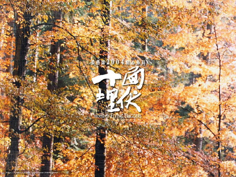 Autumn Forest with Golden Leaves — Orange