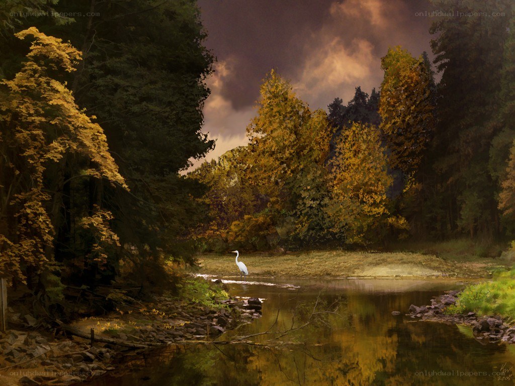 Autumn forest with heron