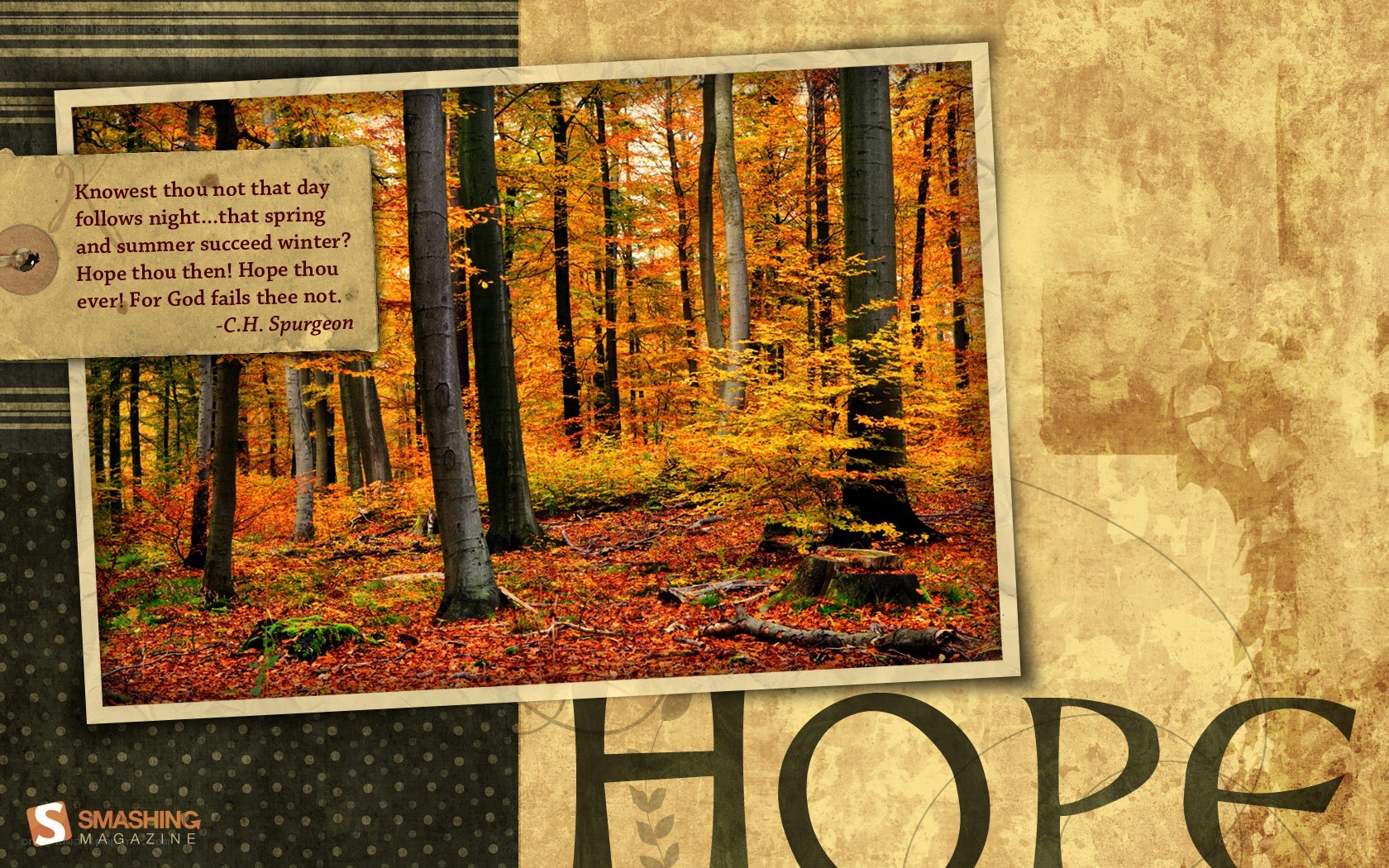 Autumn forest with hope quote