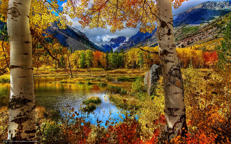 Autumn forest with lake and mountains