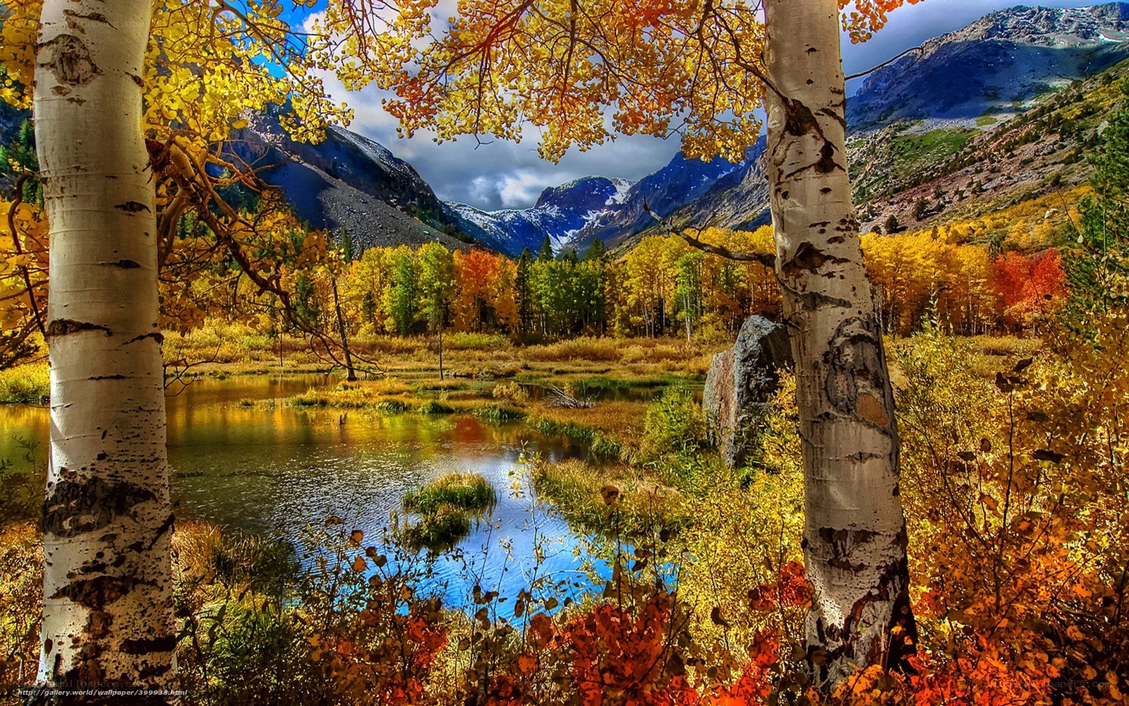 Autumn forest with lake and mountains