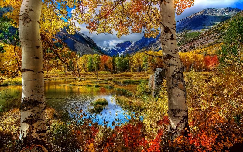 Autumn forest with lake and mountains