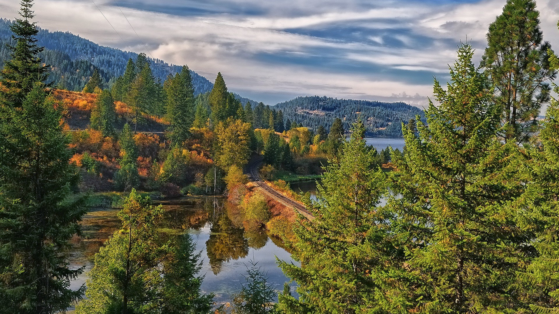 Autumn forest with lake and train tracks
