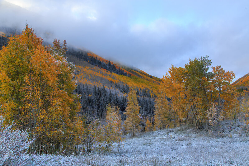 Autumn forest with light snow