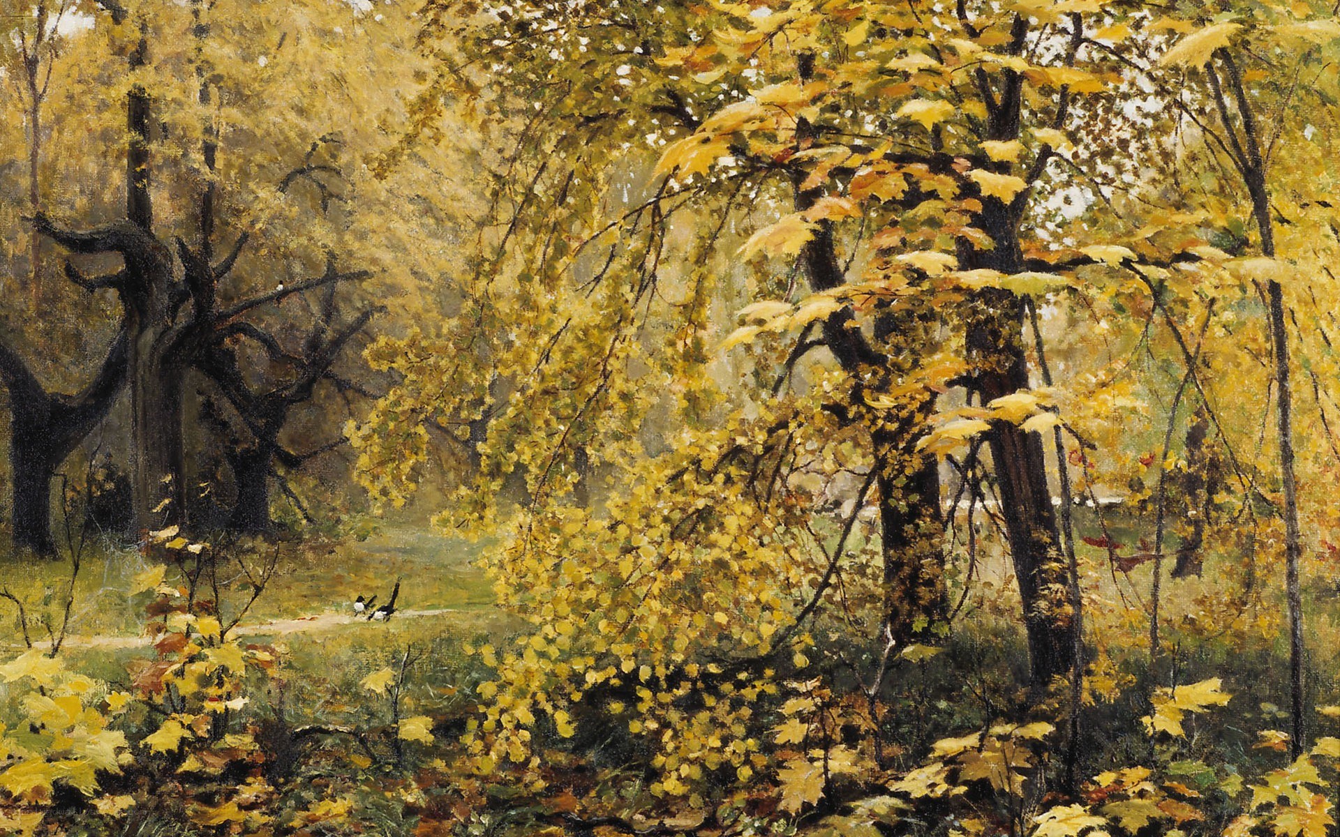 Autumn forest with magpies
