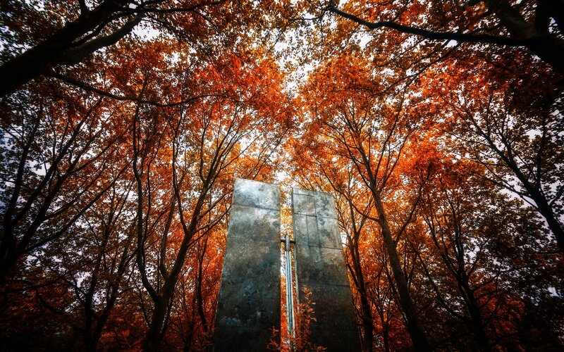Autumn forest with monument
