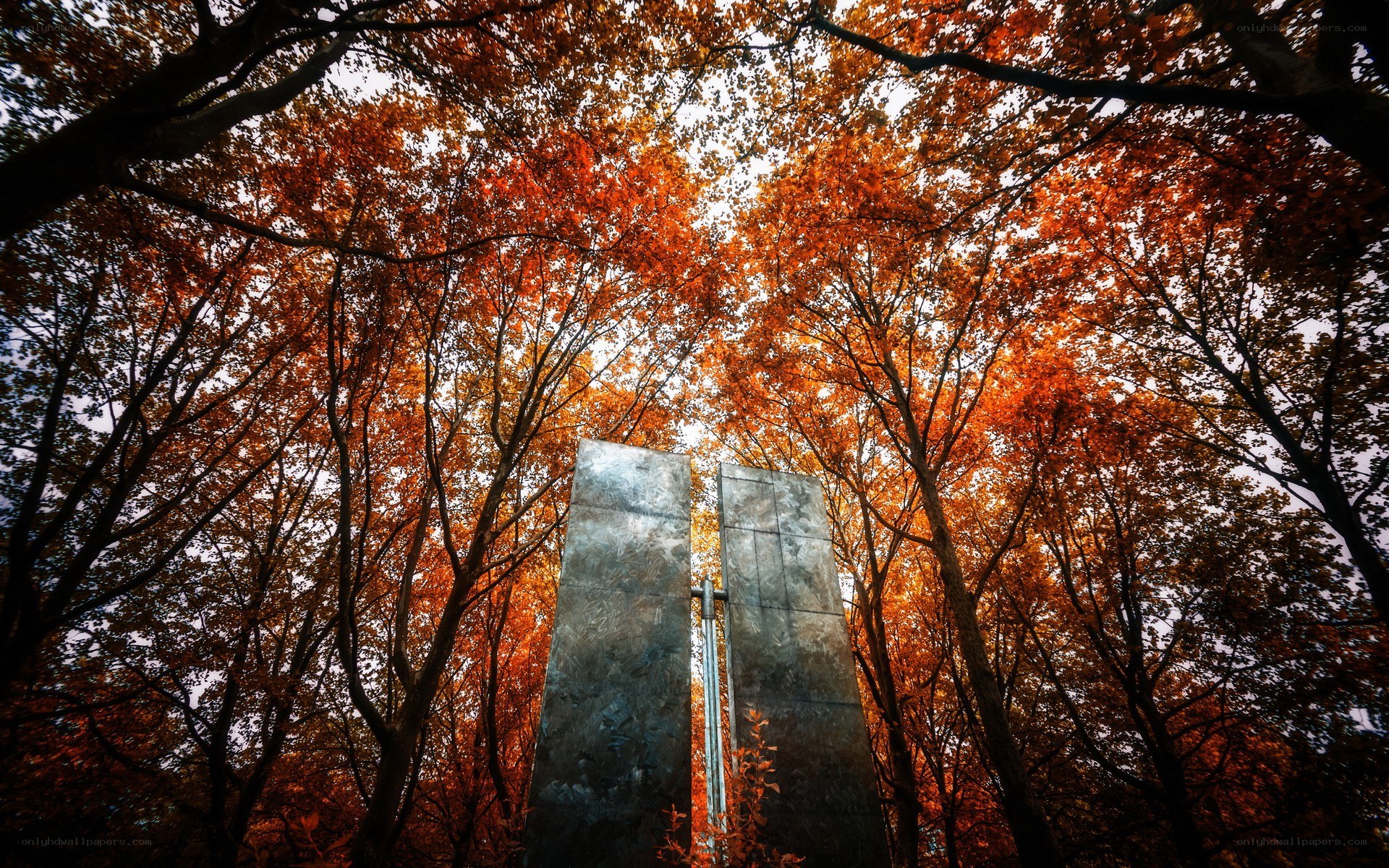 Autumn forest with monument
