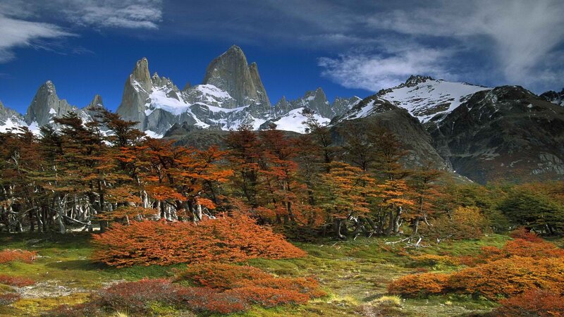 Autumn forest with mountain peaks