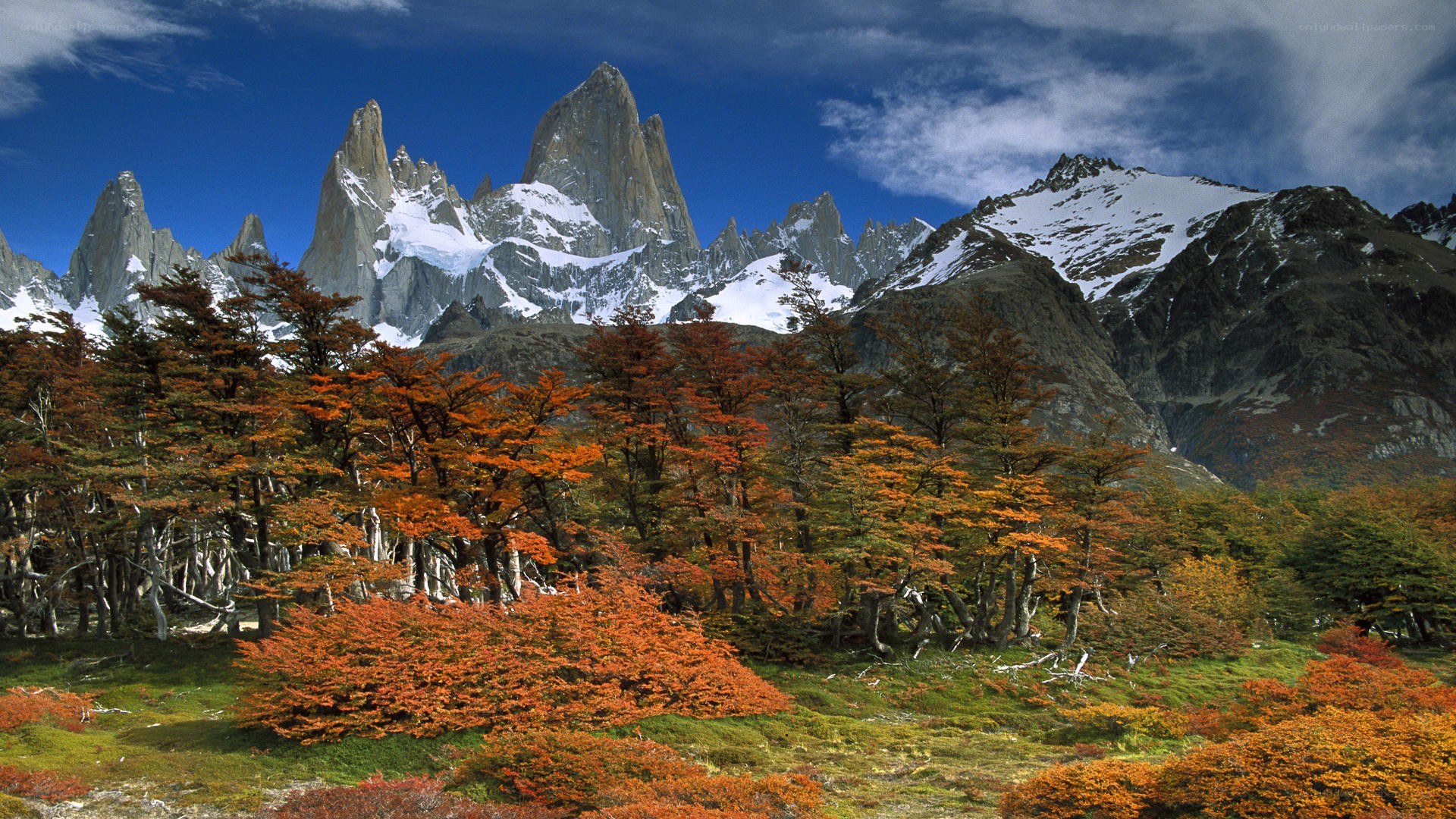 Autumn forest with mountain peaks