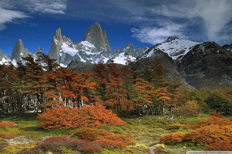 Autumn forest with mountain peaks