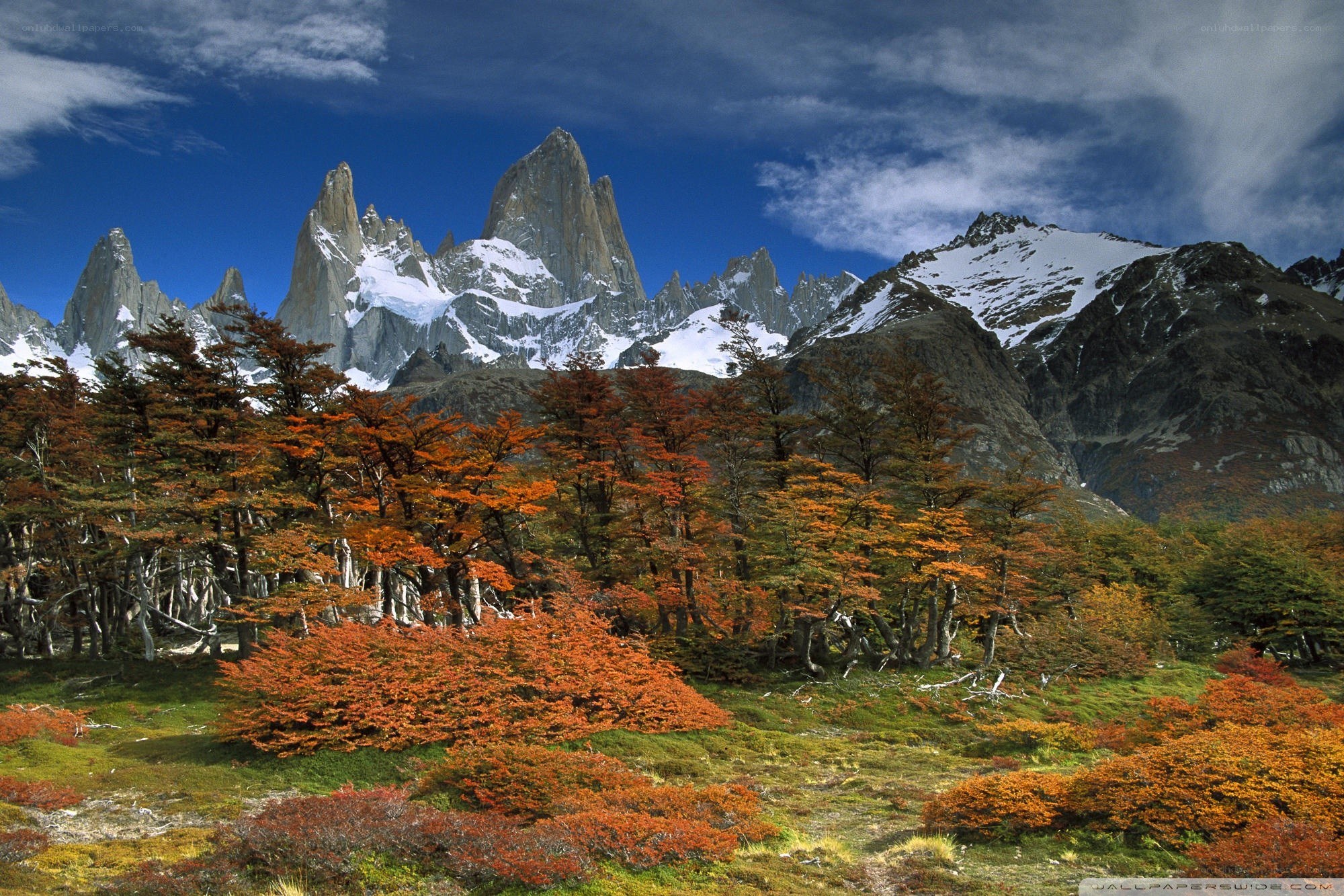 Autumn forest with mountain peaks