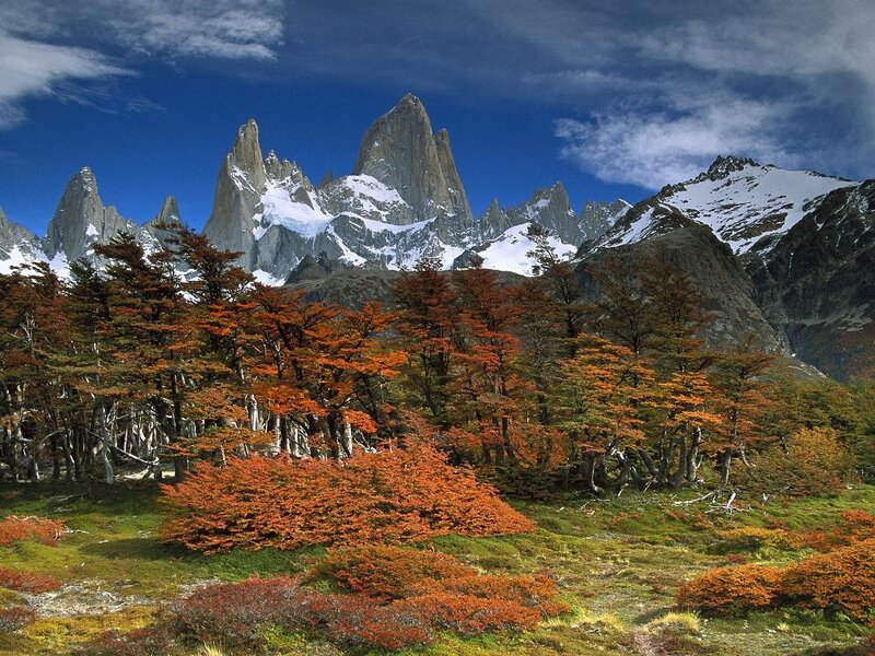 Autumn forest with mountain peaks