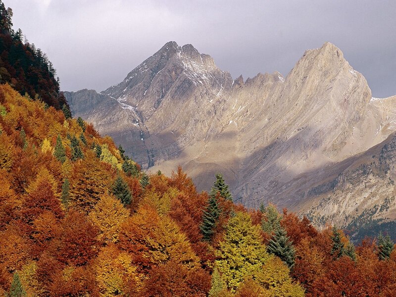 Autumn forest with mountain peaks