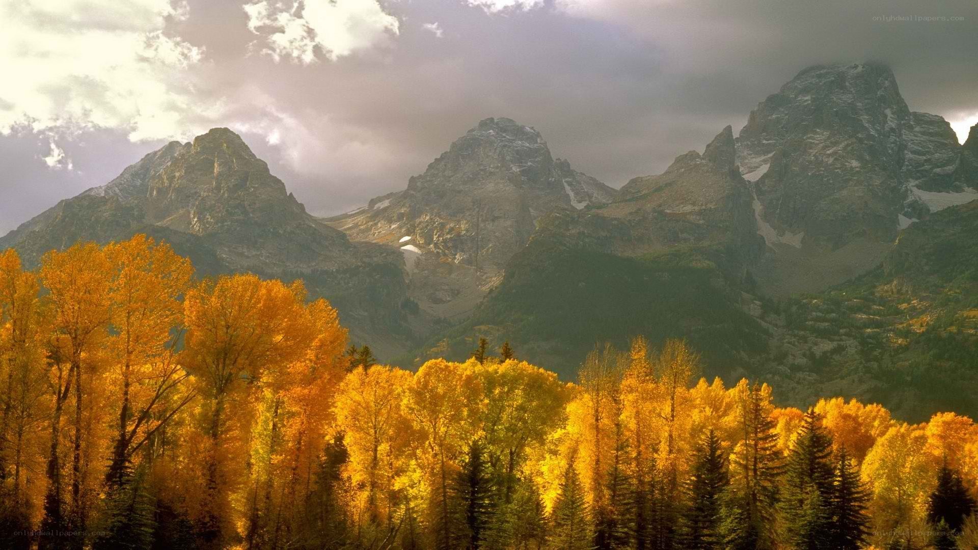 Autumn forest with mountain peaks