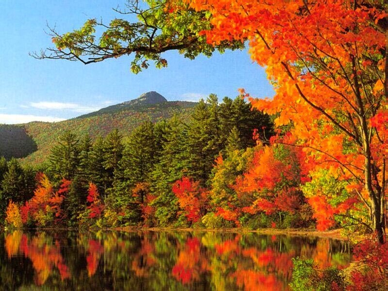 Autumn forest with mountain reflection