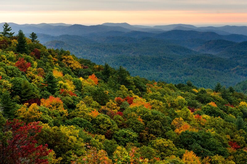 Autumn forest with mountain view