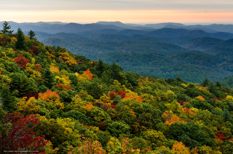 Autumn forest with mountain views