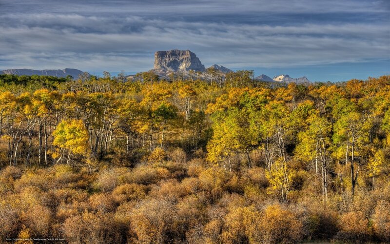 Autumn Forest with Mountain — Yellow