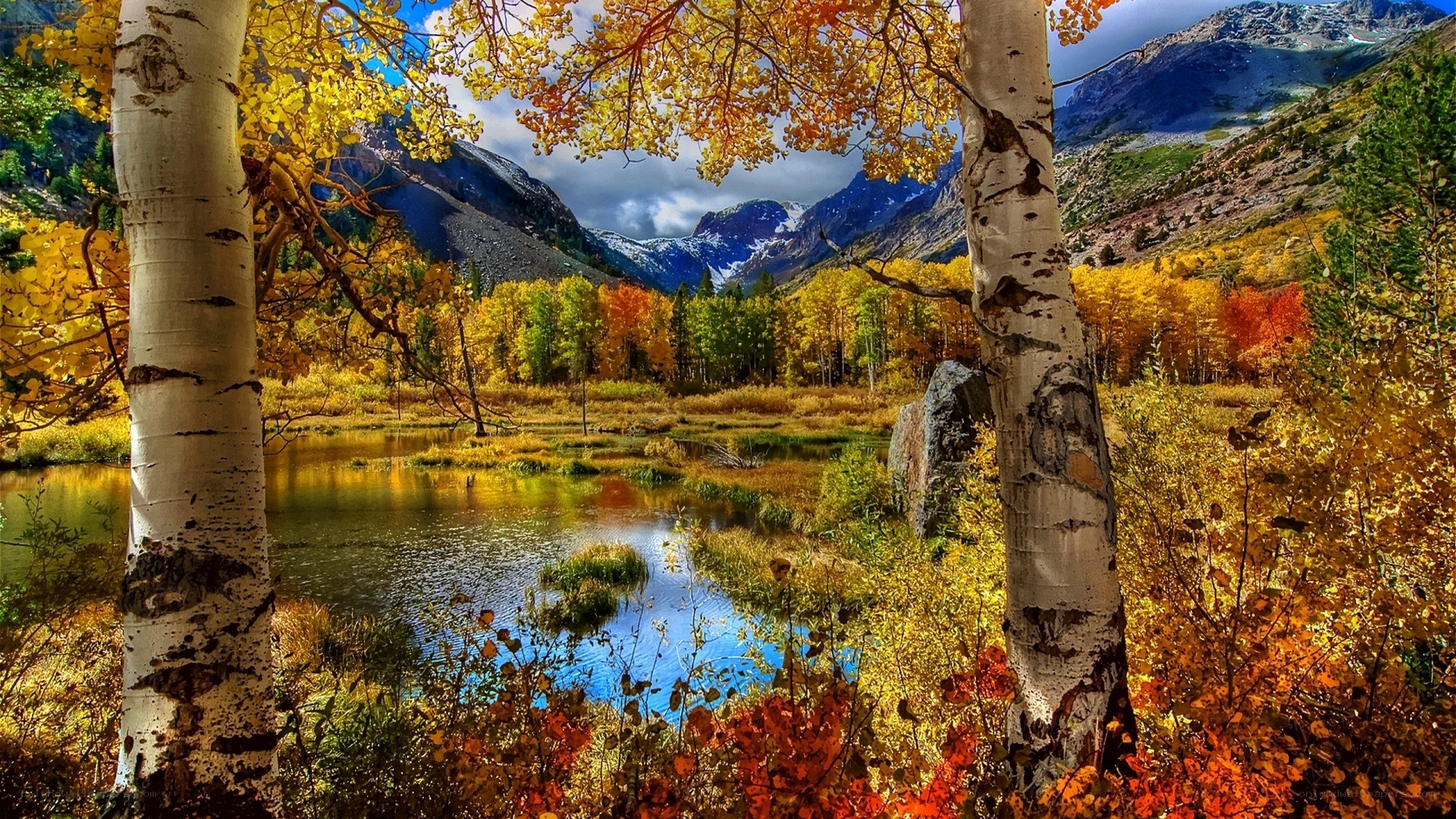 Autumn forest with mountains