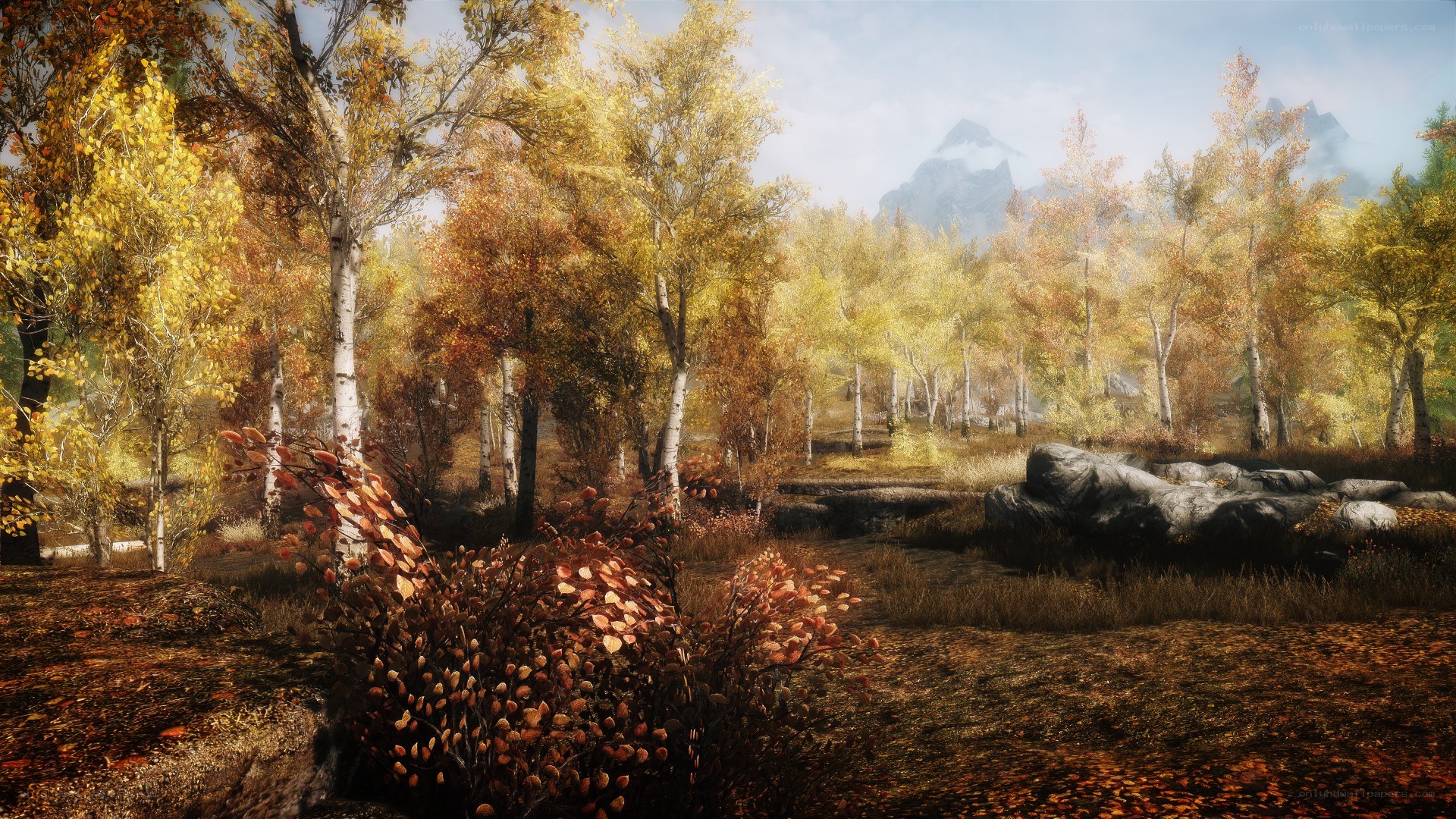 Autumn forest with mountains
