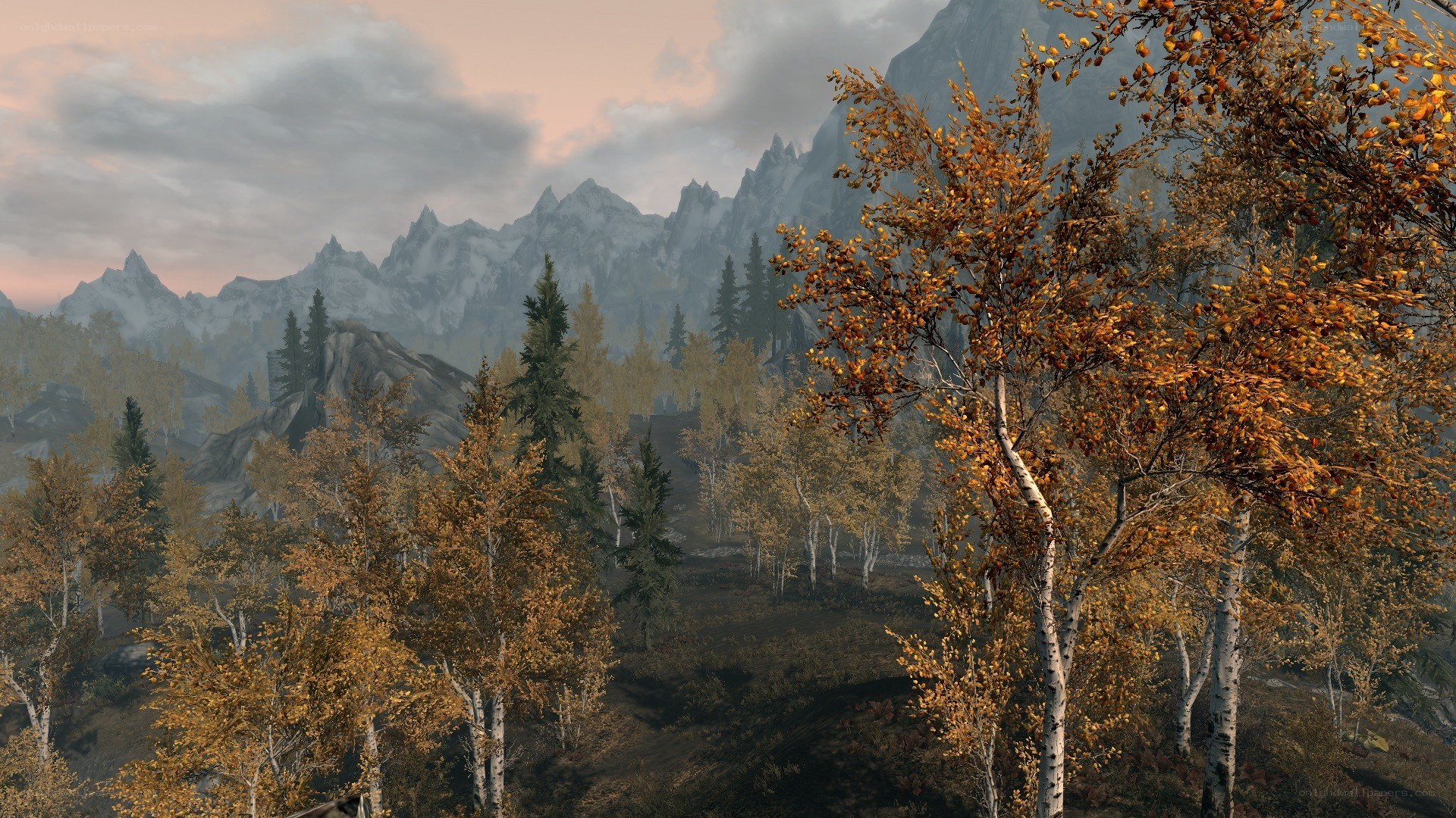 autumn forest with mountains