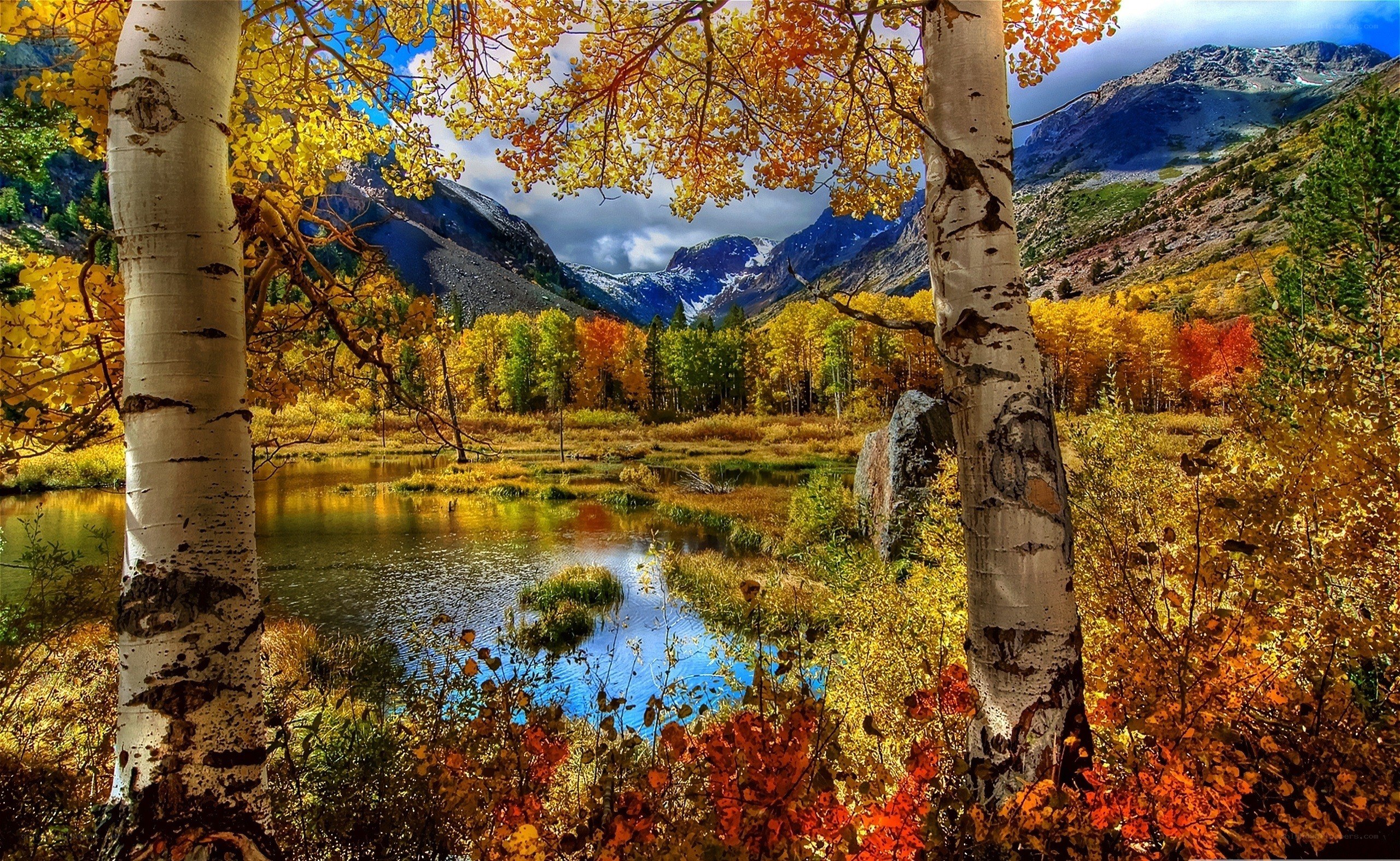 Autumn forest with mountains