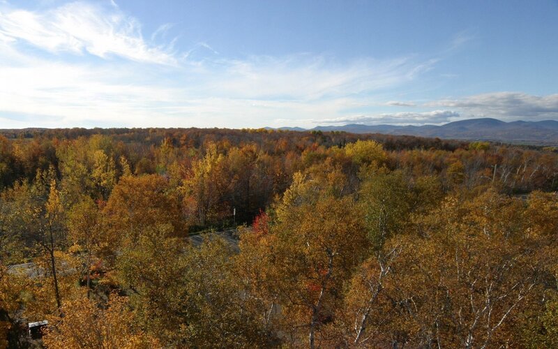 Autumn forest with mountains