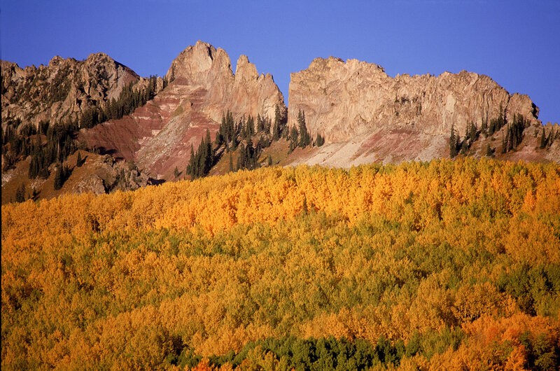Autumn forest with mountains