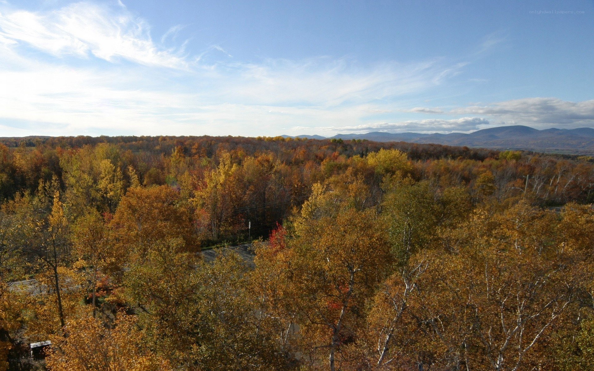 Autumn forest with mountains