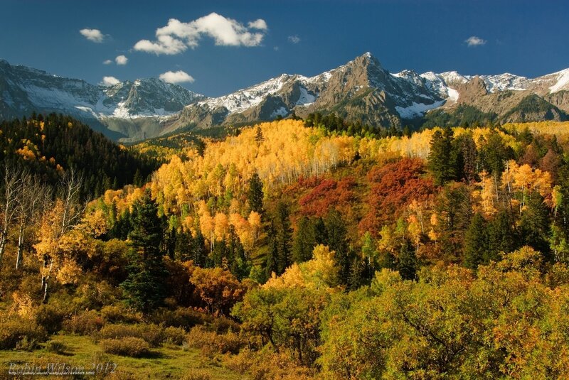 Autumn Forest with Mountains — Blue, Serene