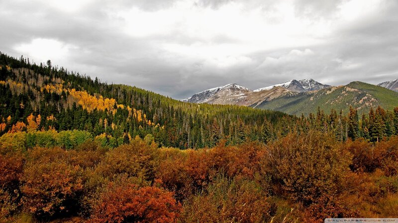 Autumn Forest with Mountains — Green, Dramatic