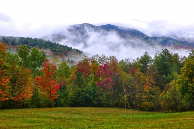 Autumn Forest with Mountains — Green, Serene, Photograph