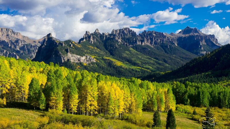 Autumn Forest with Mountains — Green, Serene