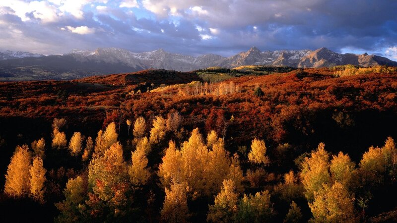 Autumn Forest with Mountains — Orange, Dramatic, Photograph, Trees, Clouds, Yellow, Blue