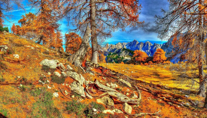 Autumn Forest with Mountains — Orange, Dramatic, Photograph, Trees, Rocks, Blue