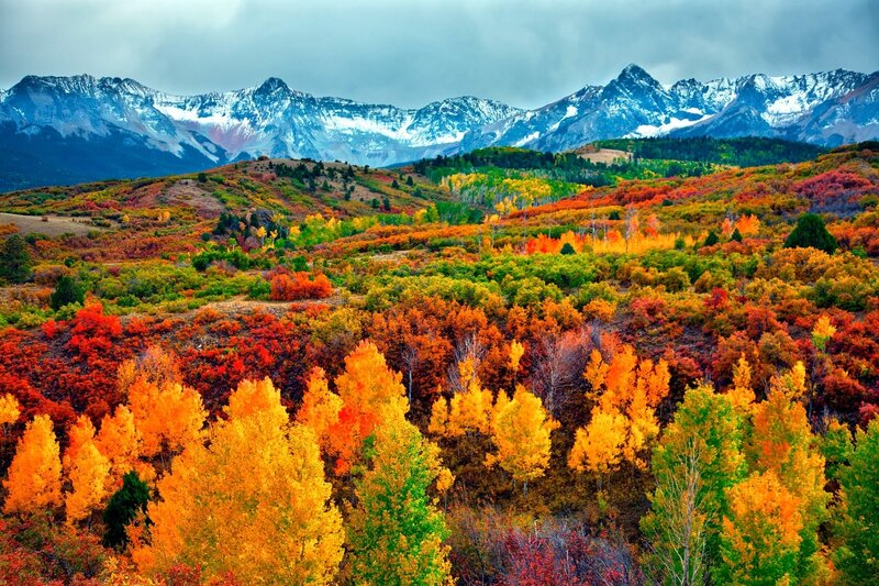 Autumn Forest with Mountains — Orange, Dramatic, Photograph, Trees, Snow